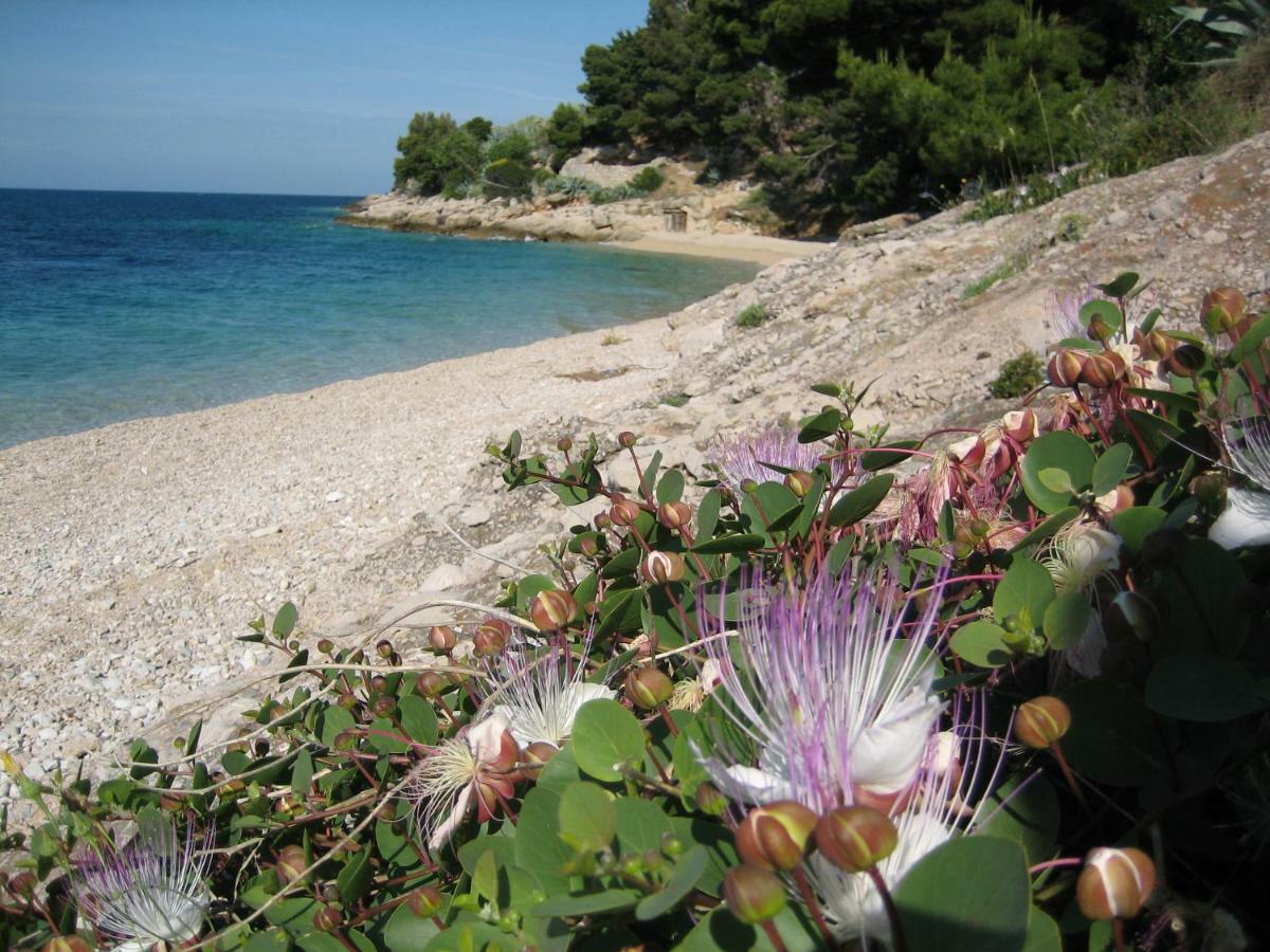 Villa Lipa Dora Murvica (Brac) Exterior foto